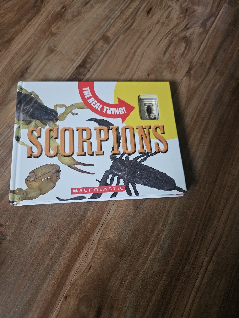 Tangerine Scorpions Book with Yellow and White Cover